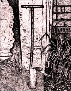 
A dibble, also called a planting bar or spud, helps make quick-and-easy work of hand-planting trees.
